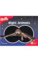 Oxford Reading Tree: Level 4: Fireflies: Night Animals