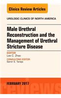 Male Urethral Reconstruction and the Management of Urethral Stricture Disease, An Issue of Urologic Clinics