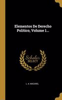 Elementos De Derecho Político, Volume 1...