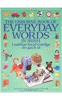 Everyday Words in Irish