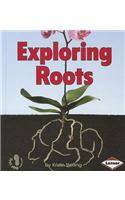 Exploring Roots