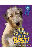 Irish Wolfhounds