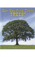 Can You Find These Trees?: (All about Nature)