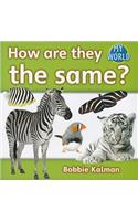 How Are They the Same?