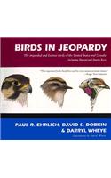 Birds in Jeopardy