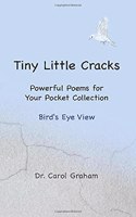 Tiny Little Cracks