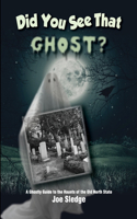 Did You See That Ghost?