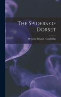 The Spiders of Dorset