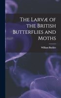 Larvæ of the British Butterflies and Moths