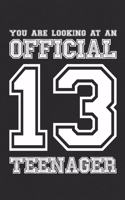 You Are Looking at an Official 13 Teenager