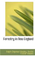 Forestry in New England