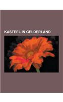 Kasteel in Gelderland: Slot Loevestein, Lijst Van Kastelen in Gelderland, Kasteel Wisch, Kasteel Biljoen, Kasteel Ammersoyen, Landgoed Scherp(Dutch)