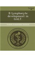 B Lymphocyte Development in Galt