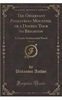 The Observant Pedestrian Mounted, or a Donkey Tour to Brighton, Vol. 2 of 3: A Comic Sentimental Novel (Classic Reprint): A Comic Sentimental Novel (Classic Reprint)