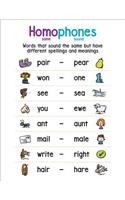 Anchor Chart Homophones