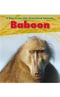 Baboon