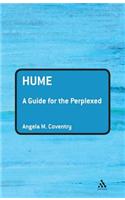 Hume: A Guide for the Perplexed