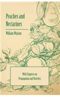 Peaches and Nectarines - With Chapters on Propagation and Varieties
