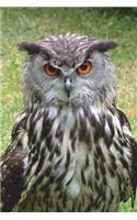Say Hello to the Eurasian Eagle Owl Journal: 150 page lined notebook/diary