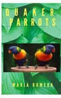 Quaker parrots