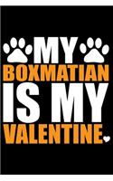 My Boxmatian Is My Valentine