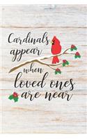Cardinals Appear When Loved Ones Are Near