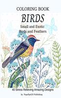 Birds Coloring Book