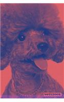Notebook: Standard Miniature Toy Poodle Dog Diary Journal (Red)