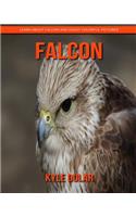 Falcon! Learn about Falcon and Enjoy Colorful Pictures