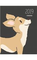 2019 Chihuahua