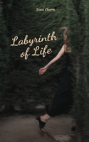 Labyrinth of Life