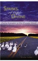 Sparks of the Divine