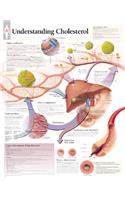 Understanding Cholesterol Laminated Poster: Laminated Wall Chart