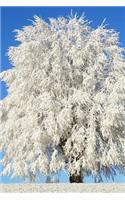 A Stunning Tree Completely Covered in Frost Journal: Take Notes, Write Down Memories in this 150 Page Lined Journal
