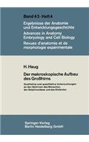 Der makroskopische Aufbau des Großhirns