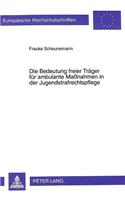 Die Bedeutung Freier Traeger Fuer Ambulante Maßnahmen in Der Jugendstrafrechtspflege: Eine Untersuchung Unter Besonderer Beruecksichtigung Der Landgerichtsbezirke Muenchen I, II, Landshut Und Passau