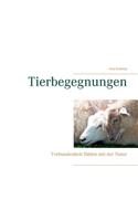 Tierbegegnungen: Verbundenheit fühlen mit der Natur