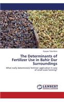 The Determinants of Fertilizer Use in Bahir Dar Surroundings
