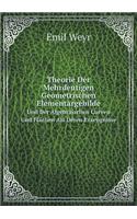 Theorie Der Mehrdeutigen Geometrischen Elementargebilde Und Der Algebraischen Curven Und Flächen Als Deren Erzeugnisse