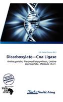 Dicarboxylate-Coa Ligase