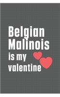 Belgian Malinois is my valentine: For Belgian Malinois Dog Fans