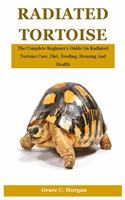 Radiated Tortoise