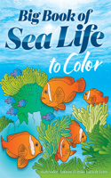 Big Book of Sea Life to Color