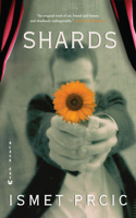 Shards: A Novel(English)