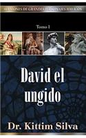 David El Ungido, Tomo 1