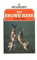 The Brown Hare