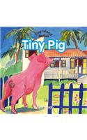 Tiny Pig