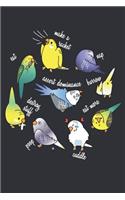 I love my Budgies