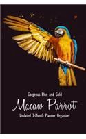 Gorgeous Blue and Gold Macaw Parrot Undated 3-Month Planner Organizer: Weekly Monthly Agenda Calendar Organizer and Engagement Book