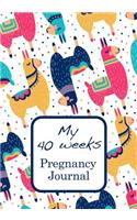My 40 weeks Pregnancy Journal